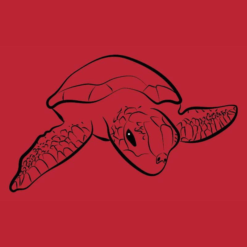 Turtle Turtle