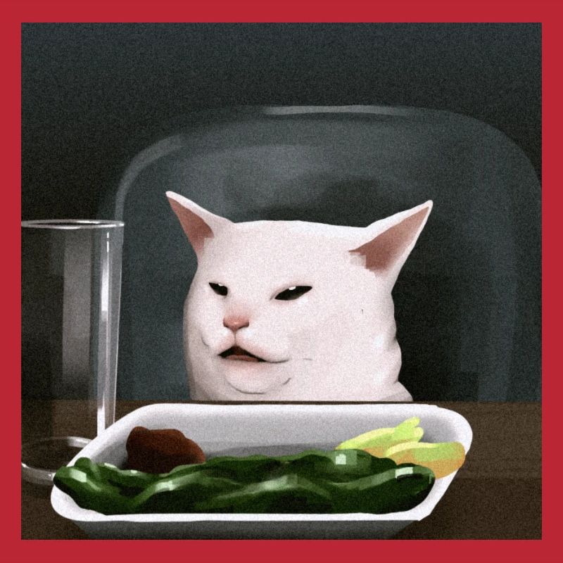 same cat