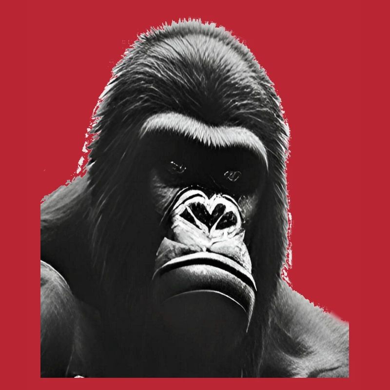 Silverback Gorilla