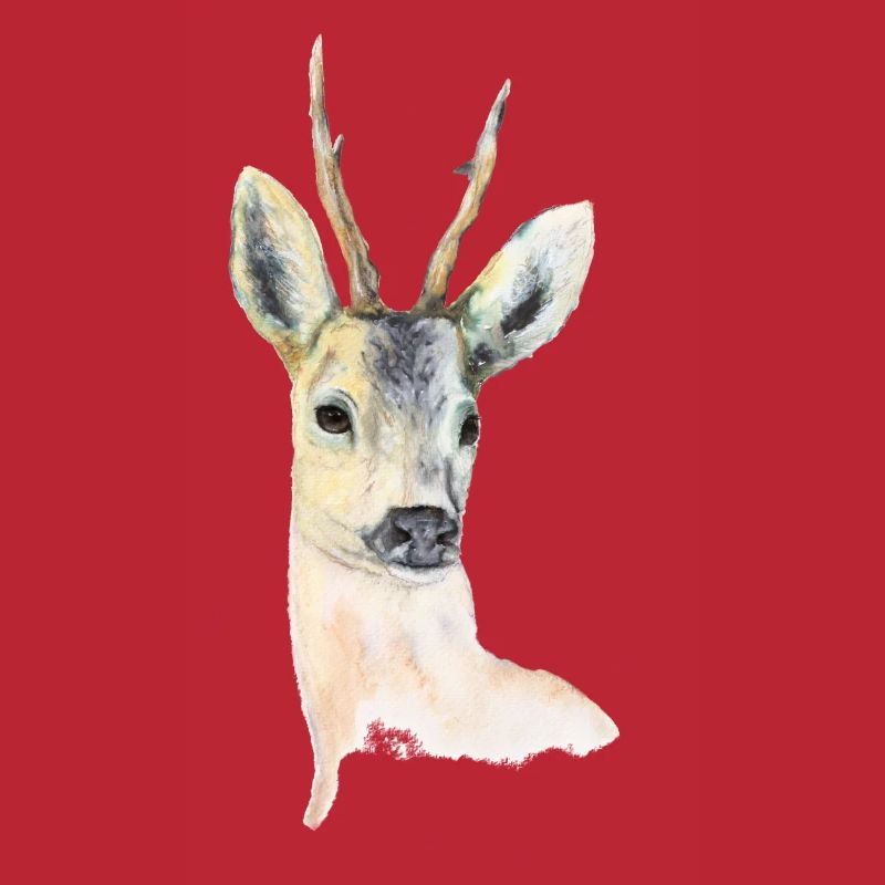 Deer 1.0