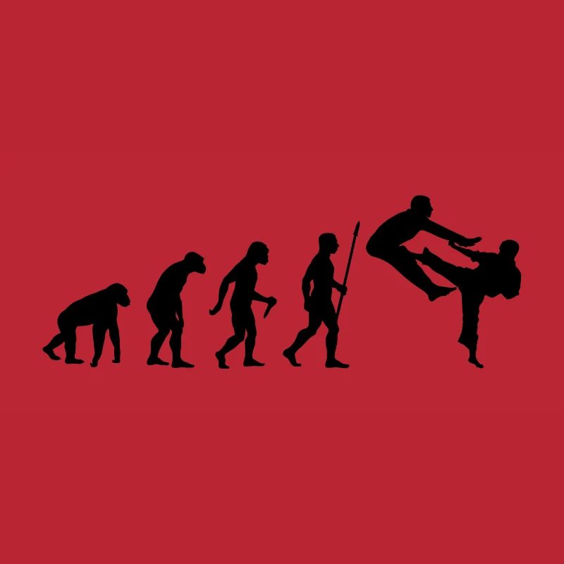 Évolution du karaté