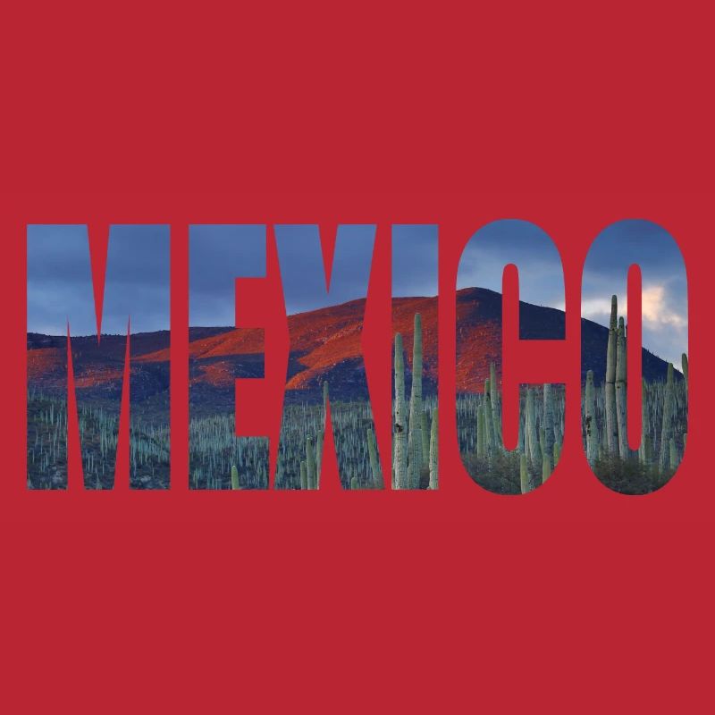 mexiko mexico kaktus
