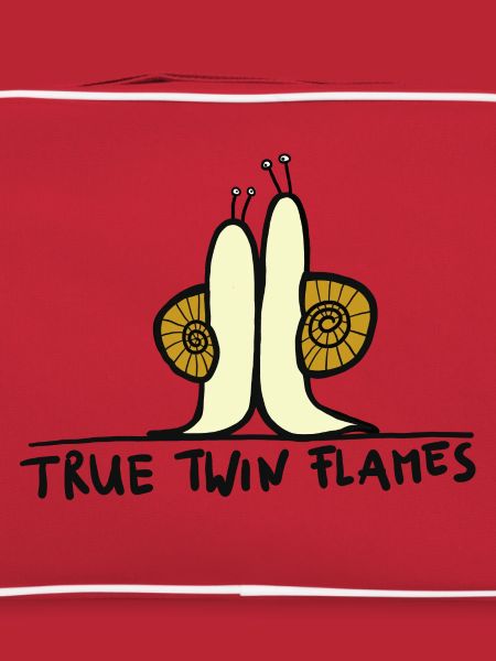 true twin flames