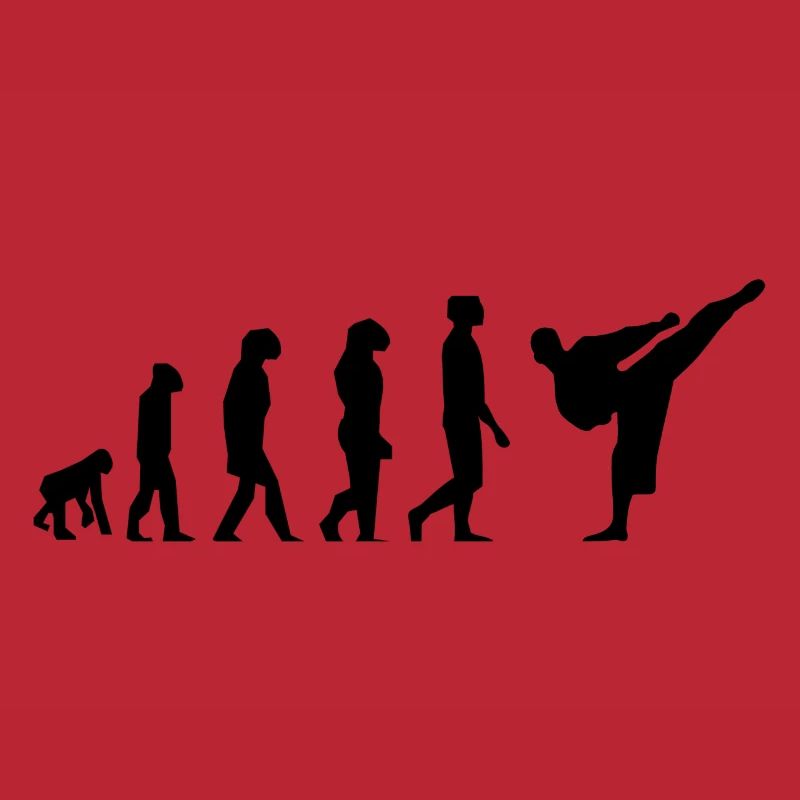Karaté évolution