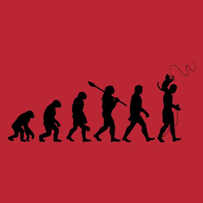 L'évolution du chat