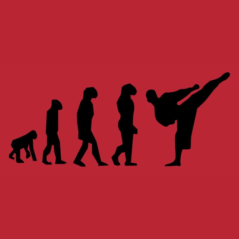 évolution karaté