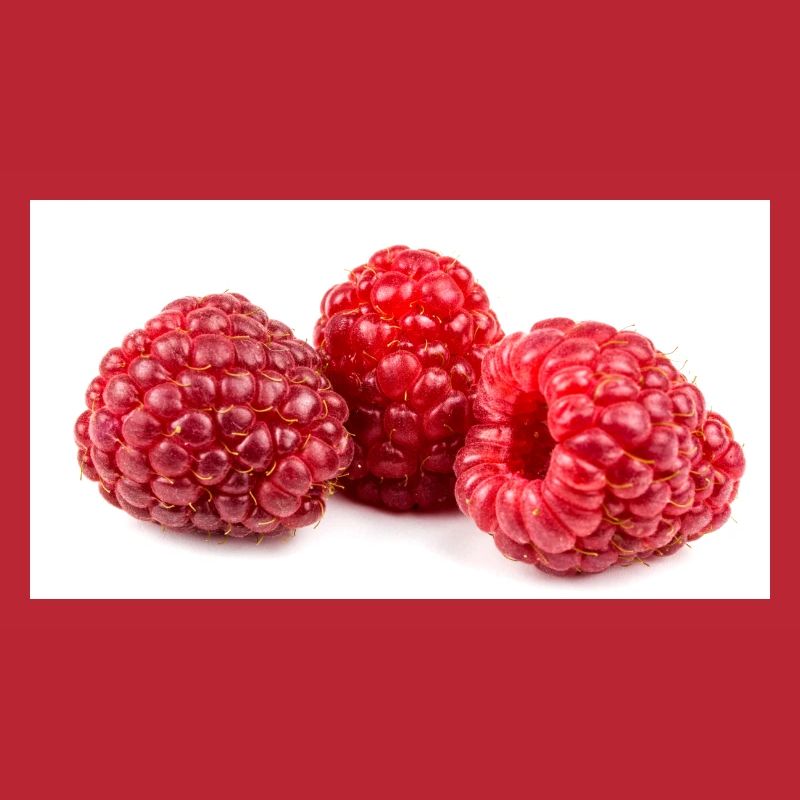 Himbeere. raspberry