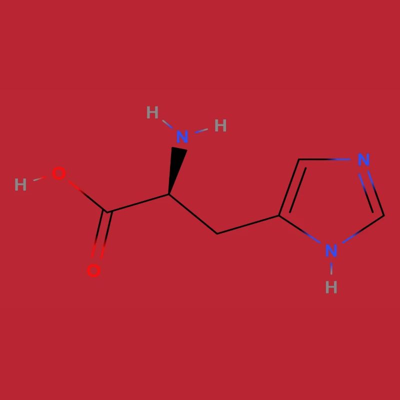 Molécule d’histidine - Formule structurale colorée