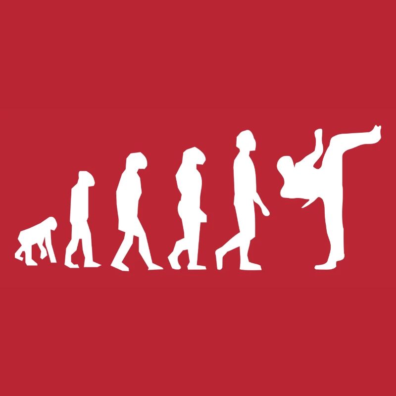 Art martiaux évolution