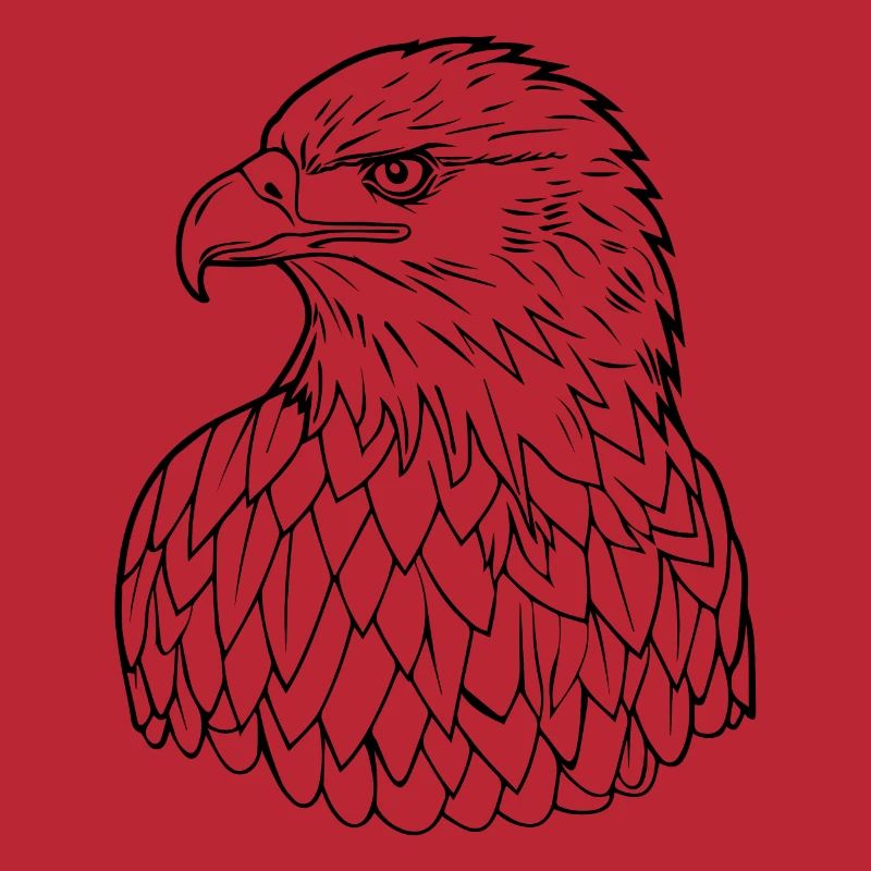 Aigle Tête d’aigle