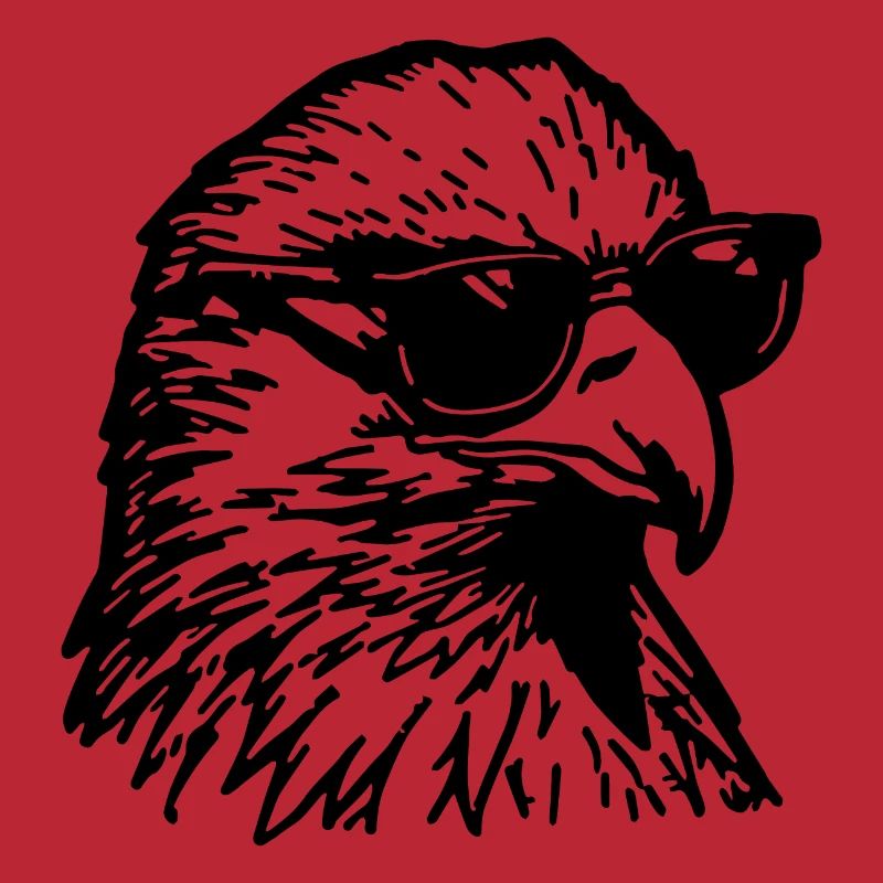 Aigle Tête d’aigle