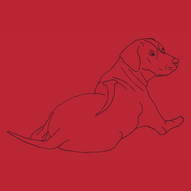 Rhodesian Ridgeback