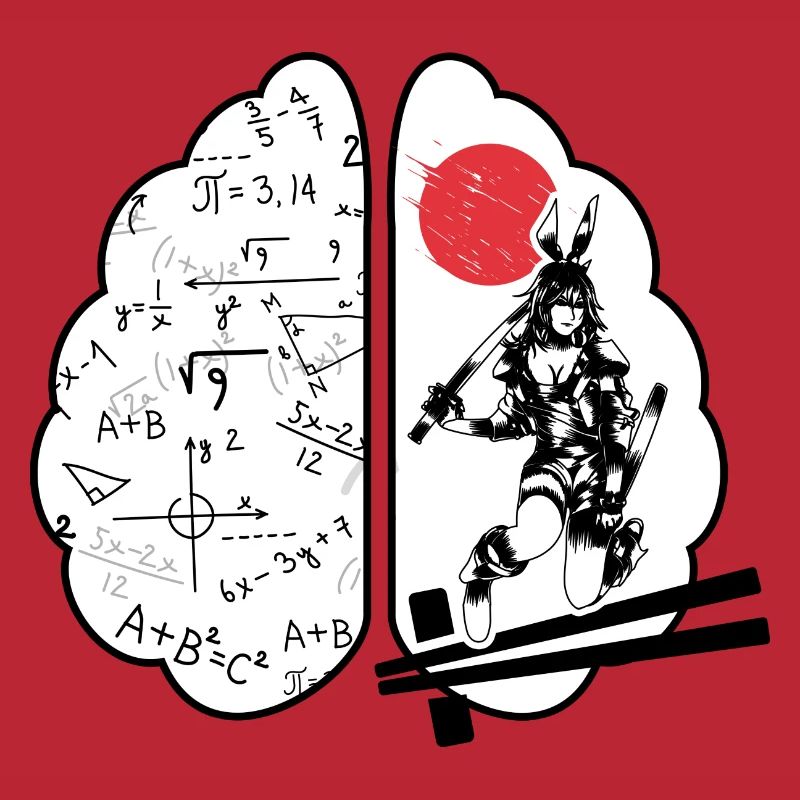 Cours de maths « moitié math mi-anime »