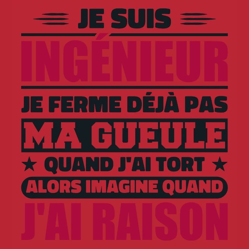 Engineer Humor Gift Student Engineer