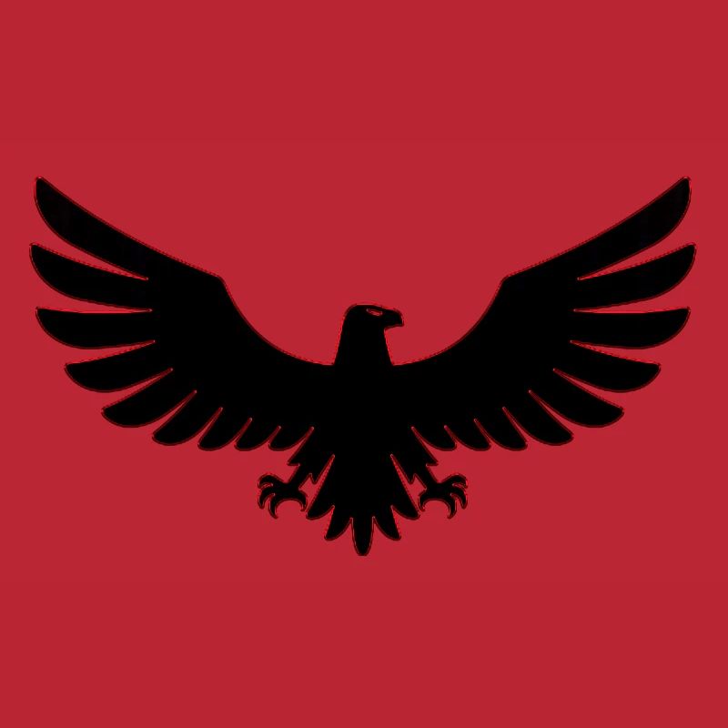 Eagle Eagles Eagle bird bird falcon hawk symbol art