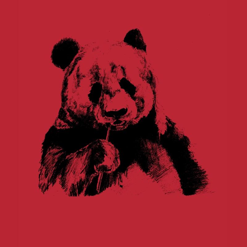 Schwarzer Panda