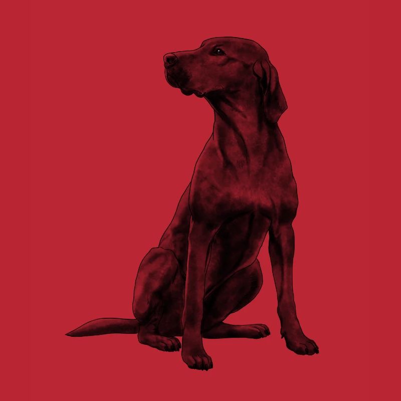 Rhodesian Ridgeback chien assis