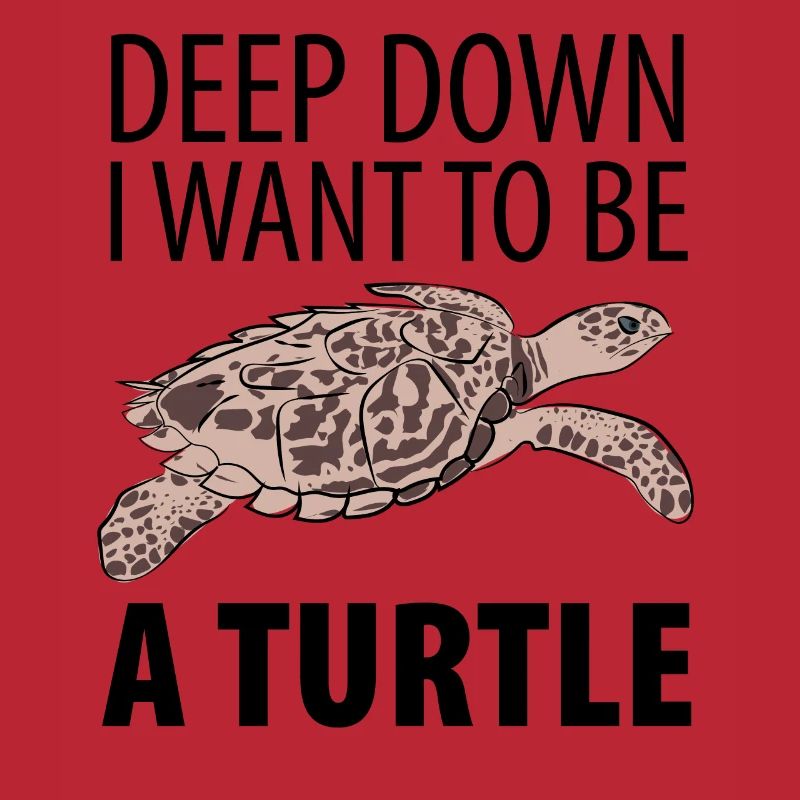 Turtle turtle