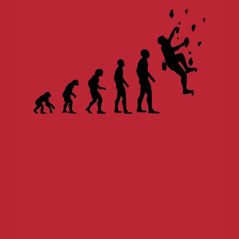 Climber Evolution Salle d’escalade