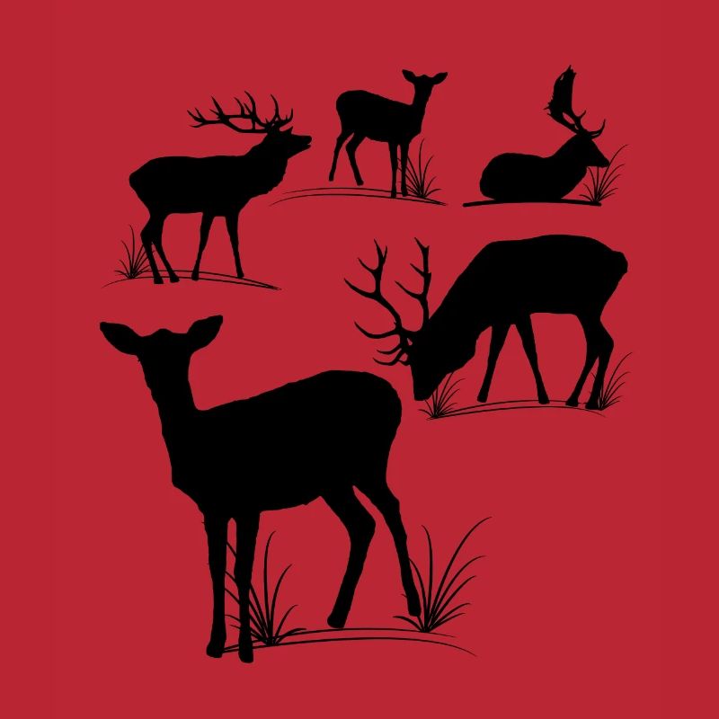 Deer, roe deer, fallow deer, fallow deer, roebuck