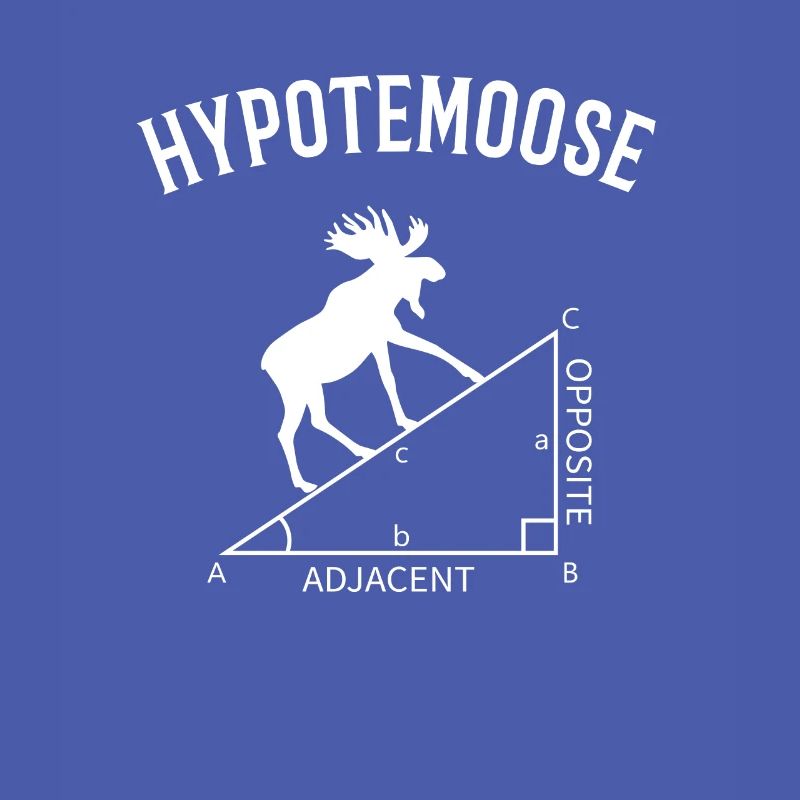 hypotemoose, math teacher hypotemoose