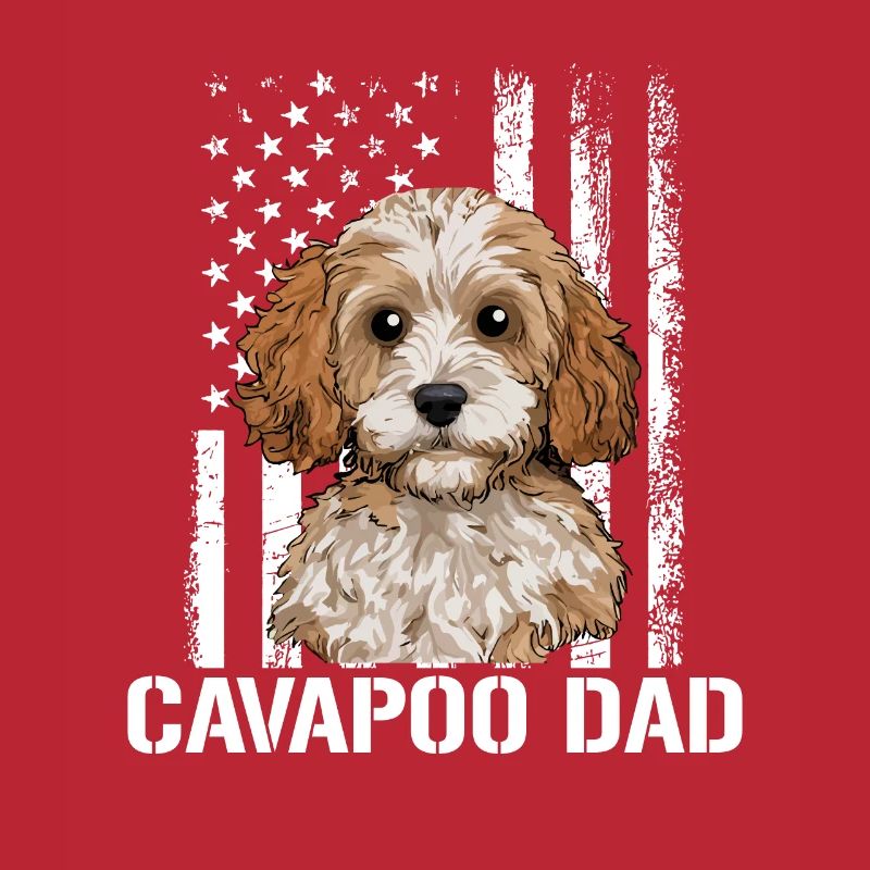 Chien Cavapoo, Cavapoo