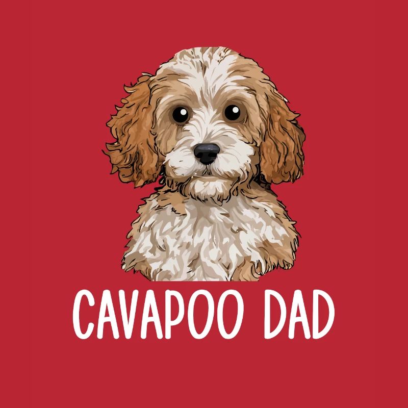 Cavapoo Papa, Cavapoo