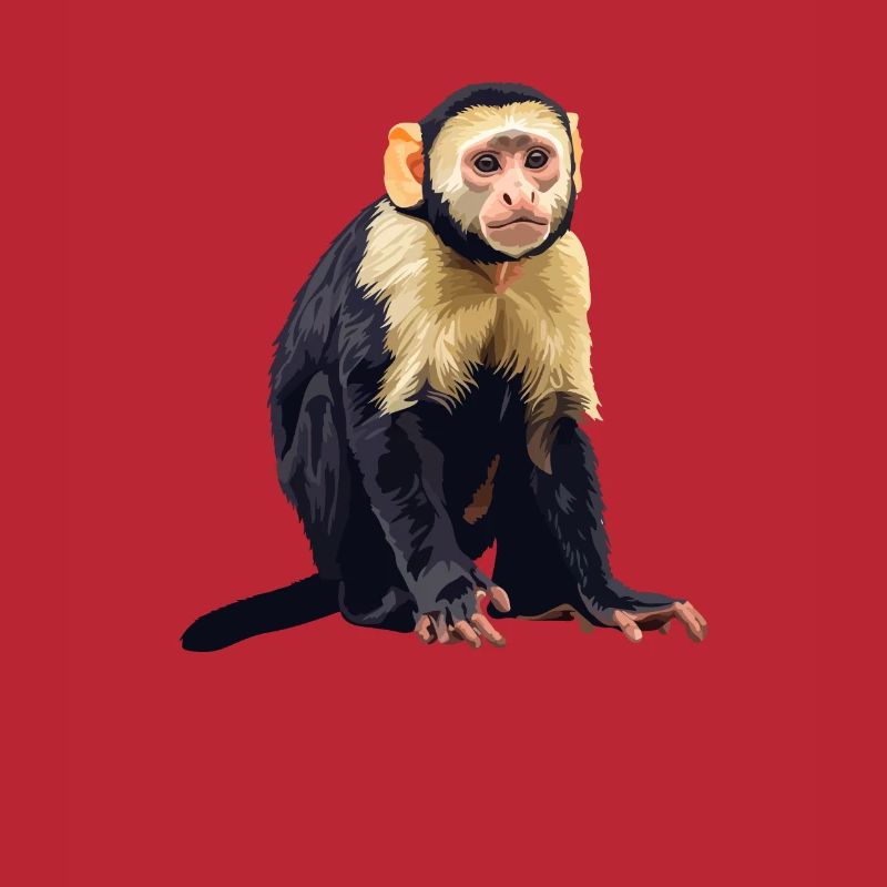 Capuchin monkey whisperer