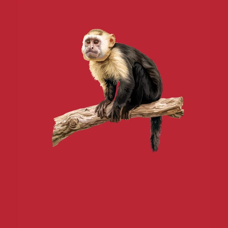 Capuchin monkey whisperer