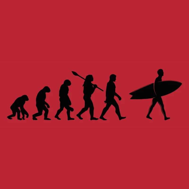 Surf évolution