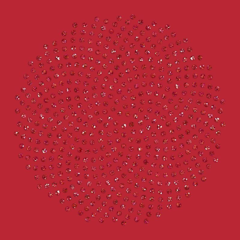 Fibonacci Mathematik Sonnenblume Phi Spirale Mathe