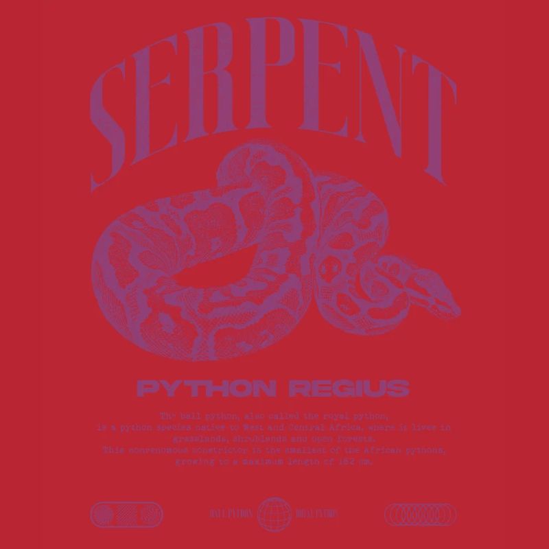 Ball Python Modern Reptile Keeper Streetwear