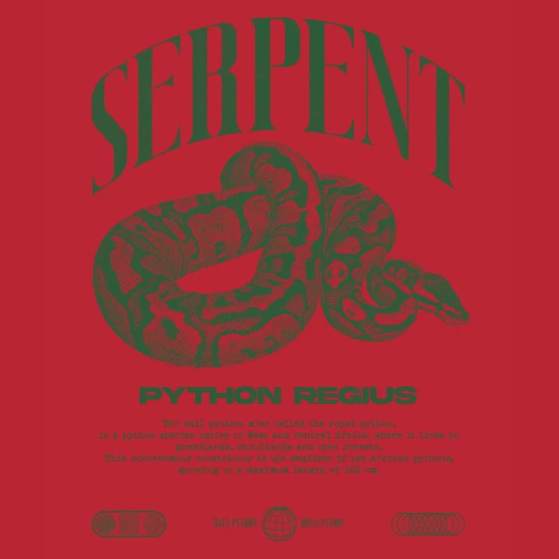 Ball Python Modern Reptile Keeper Streetwear