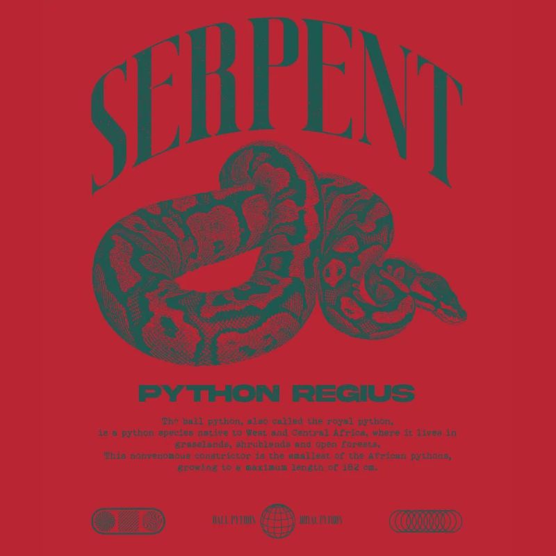 Ball Python Modern Reptile Keeper Streetwear