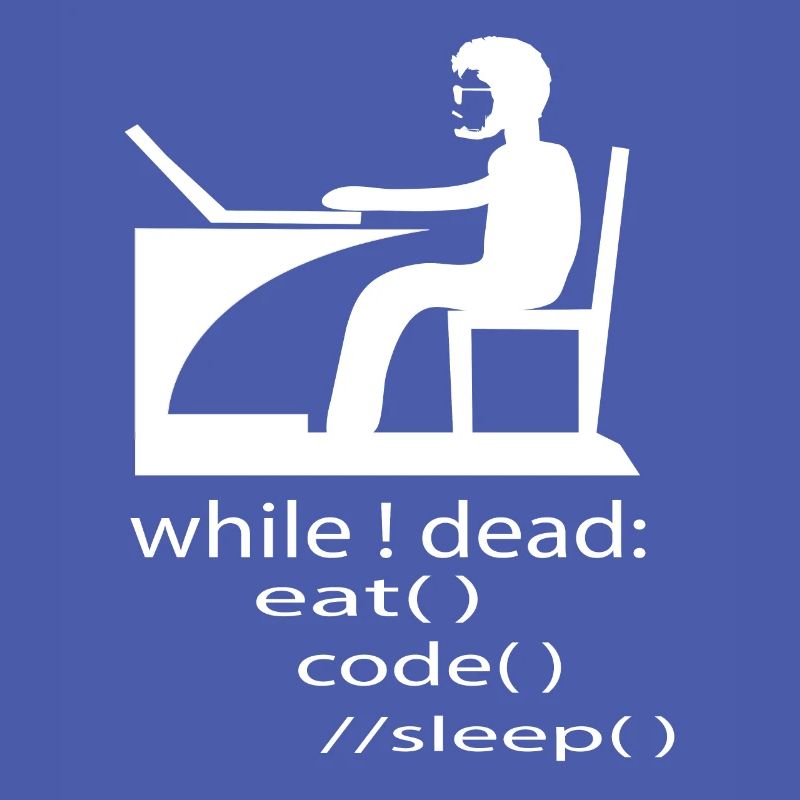 Software Developer Programmer Gift