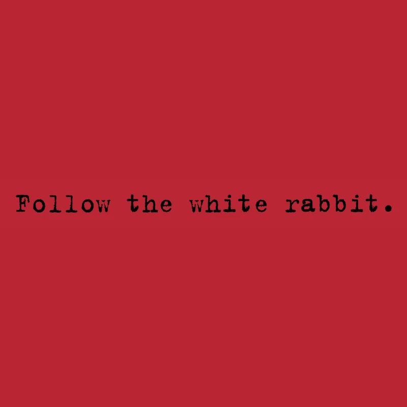 Follow the white rabbit Programming Informatik