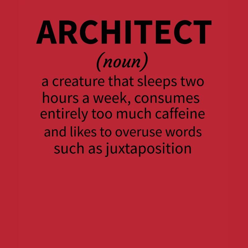 Architecture Gift Architecture Student Architect