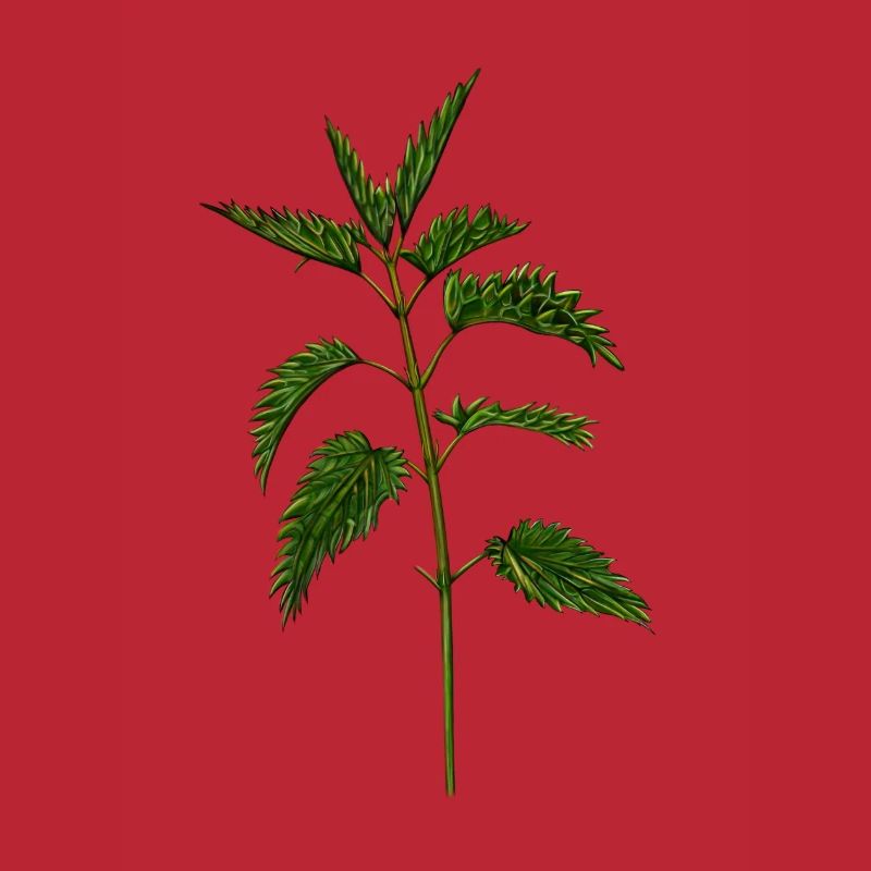 nettle