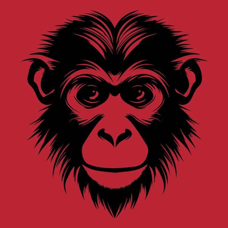 Monkey Monkey Monkey Face Jungle