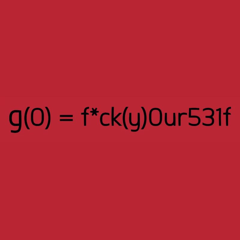 Math funny funny formula gift idea