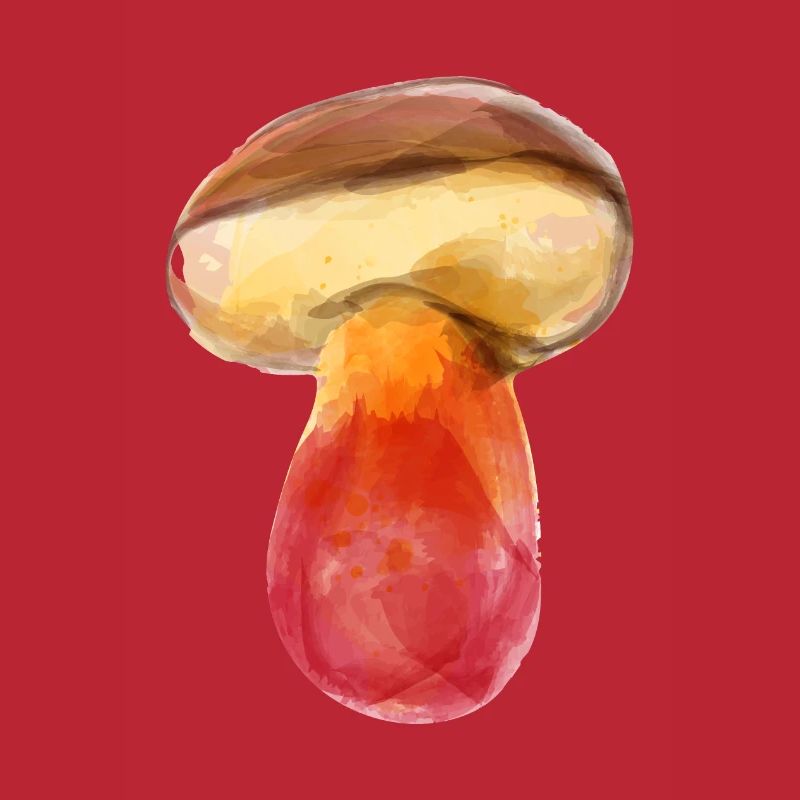 Champignon de feu Champignon