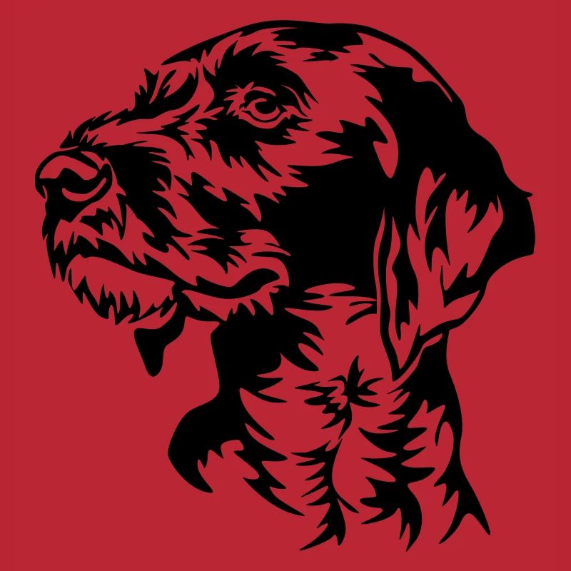 German Wirehaired Pointer head