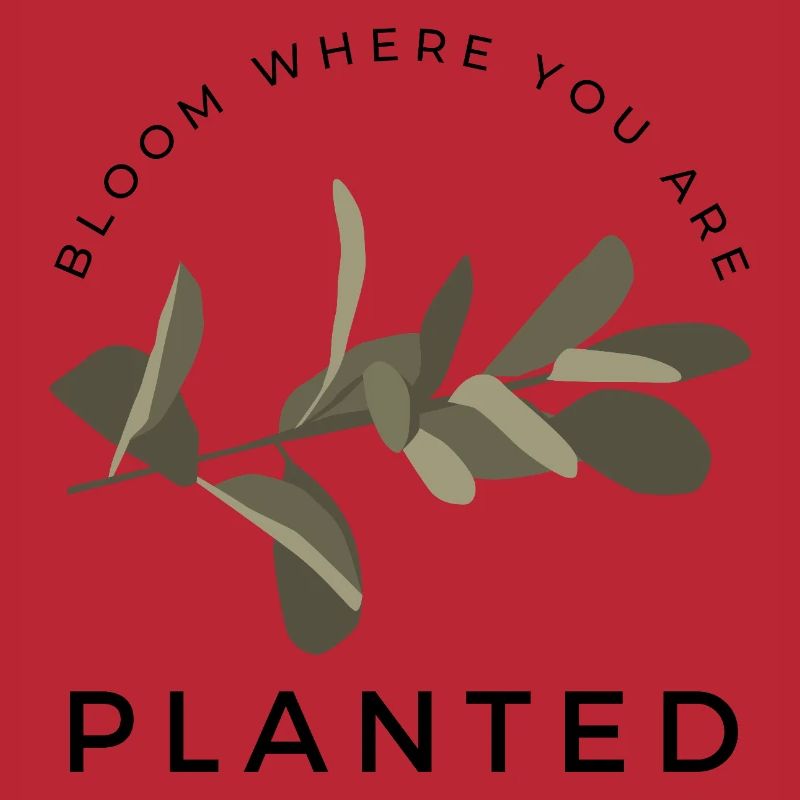bloom where you are planted