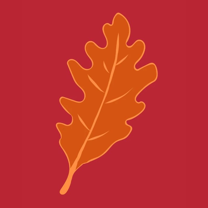 Eiche - Eichenblatt - Herbst