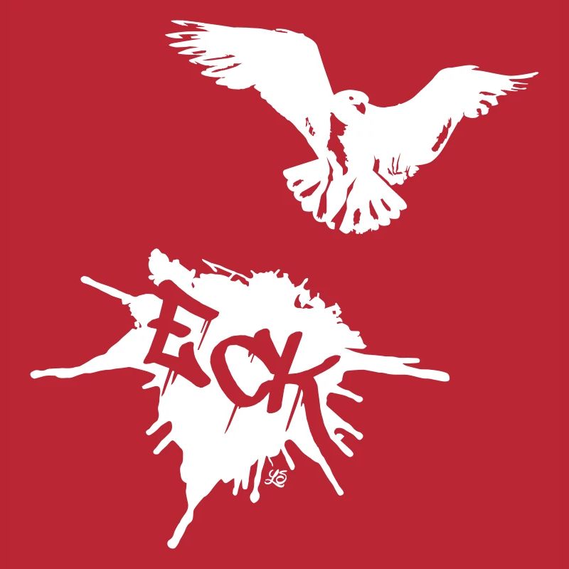 Möwe und Eckernförde
