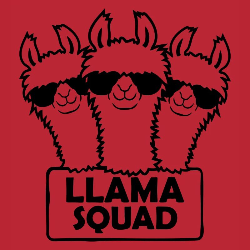 Conception d’équipe Llama Squad