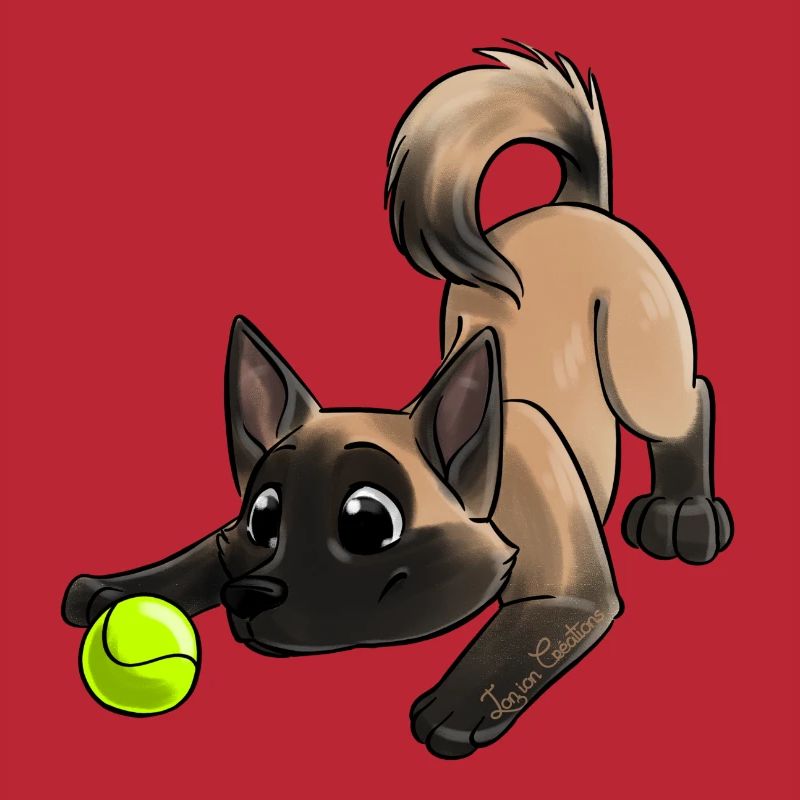 Le plus mignon Malinois