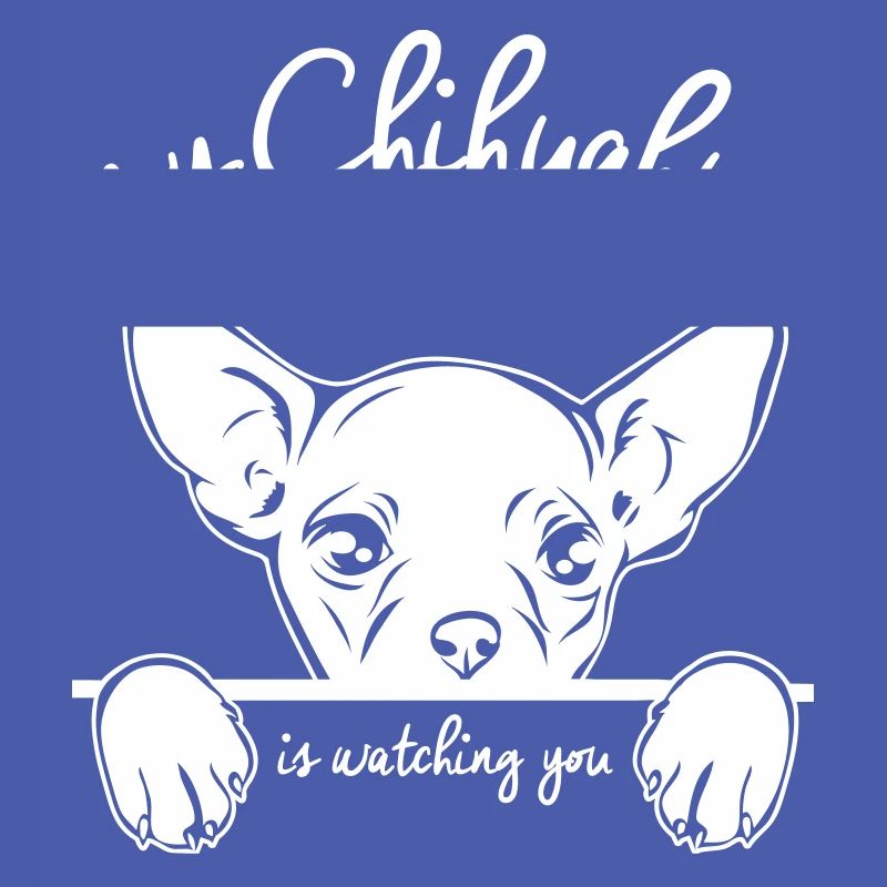 CHIHUAHUA vous regarde
