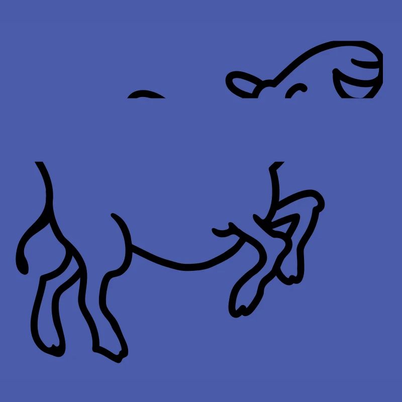 Camel s'amuse - ligne