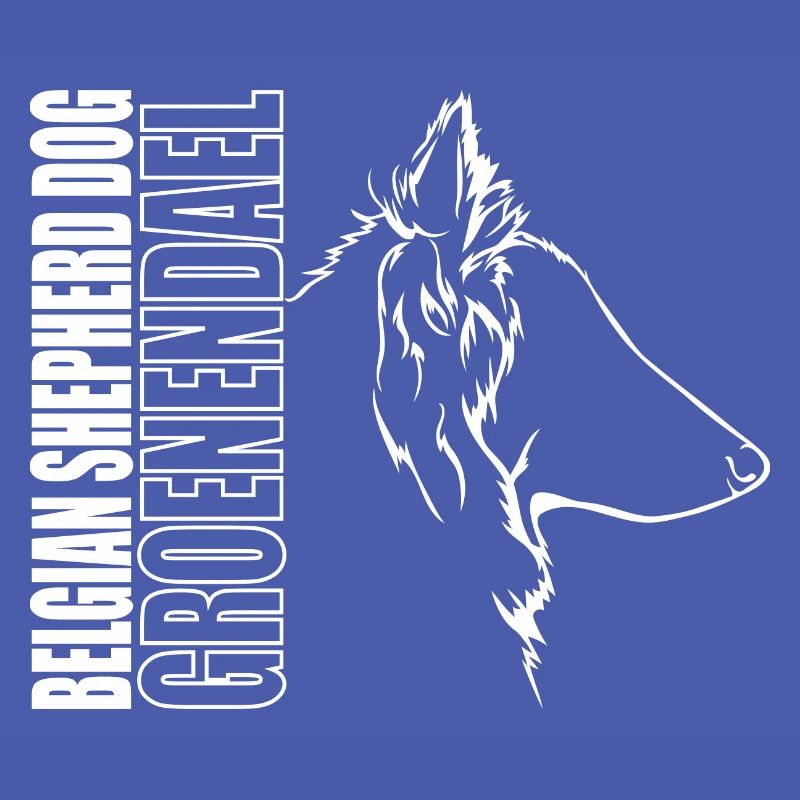 CHIEN DE BERGER BELGE GROENENDAEL Profil Wilsigns